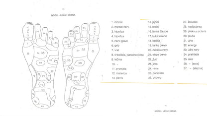 Kurs Refleksologije Stopala